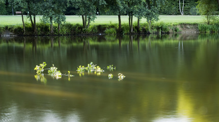 Obraz premium lago