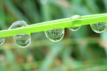 wassertropfen