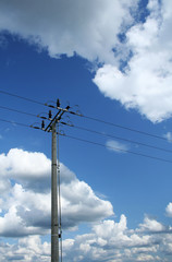 Obraz premium Strommast