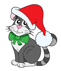Cat in Christmas cap