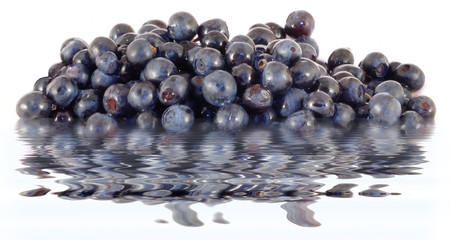 fresh berries reflections