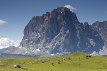 Val Gardena Sasso Lungo