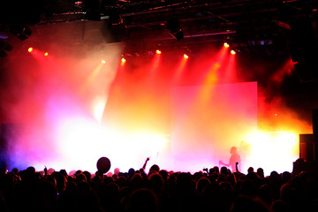 Cheering crowd at concert, musicians on the stage