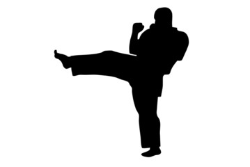 Karate kick