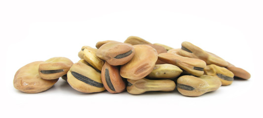 Broad faba horse beans