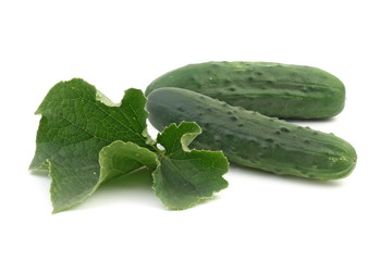 gurken - cucumber