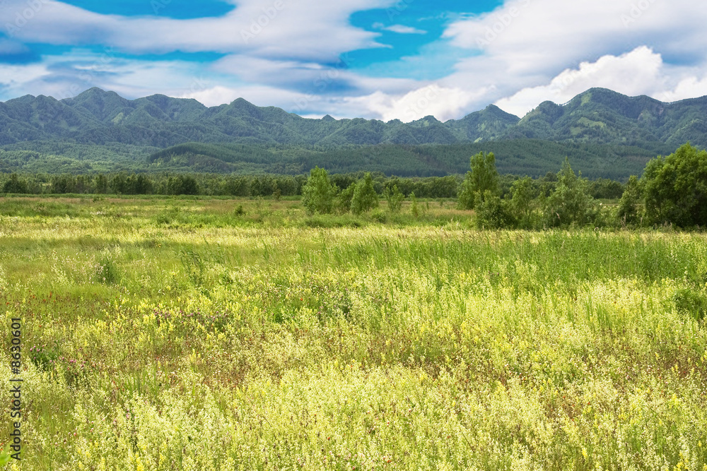 Wall mural landscape with mountains