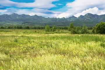 Fototapeta premium landscape with mountains