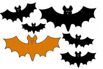 chauve-souris