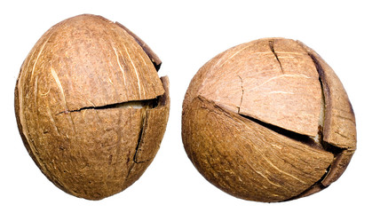 Cocos with crack