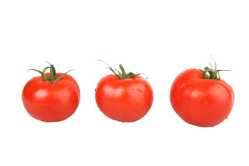 tomatoes