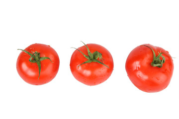 tomatoes