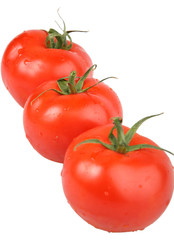 tomatoes