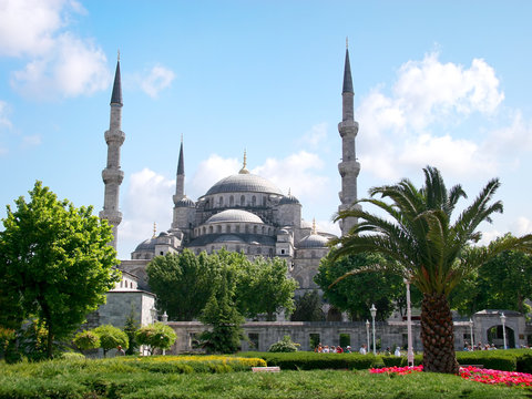 Blue Mosque, spring view