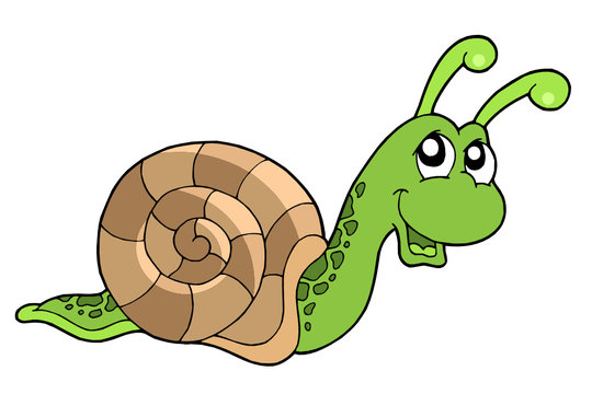 Cute snail