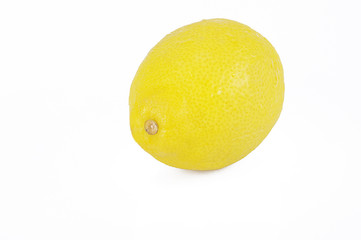 Limone intero sfondo Bianco 1