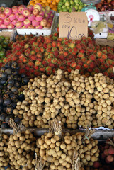 Tropical fruits