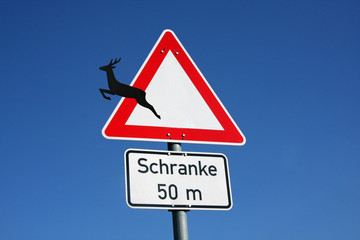 Hirschsprung