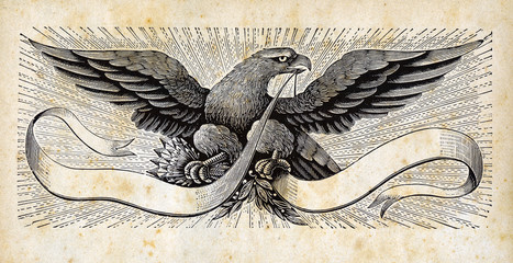 STATI UNITI D'AMERICA - AQUILA REALE IL SIMBOLO