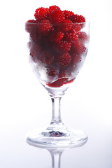 Highend Shot - Frische Himbeeren
