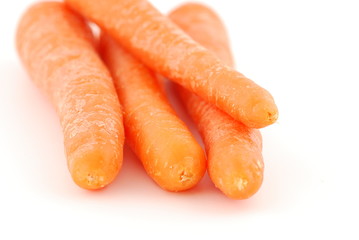carottes