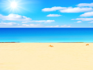 beach and sun