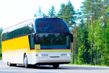 yellow bus on a forest road - of 