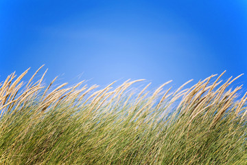 Fototapeta premium Concept écologie