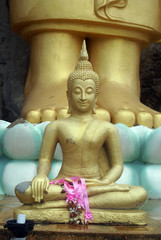 Buddhas