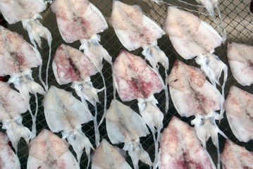 Dry squid