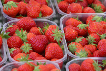 fraises