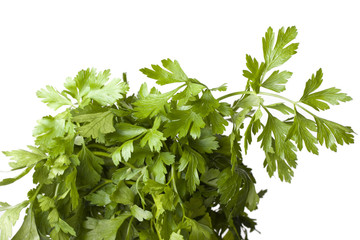detail of a parsley plant