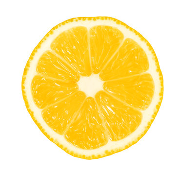 orange slice on white background