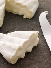 Wedge of Cheese