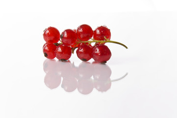 Johannesbeeren Rispe