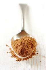 Spoonful of Cocoa Powder