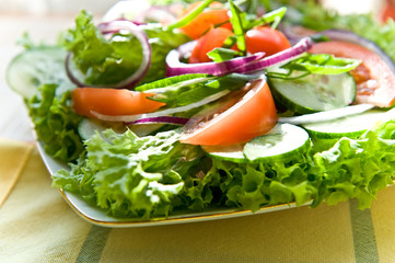 Fresh salad with onion, tomato and basil