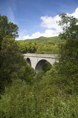 Fototapeta na wymiar Corsica Bridge over River