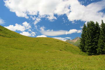 Fototapeta na wymiar colline dans les alpes suisses