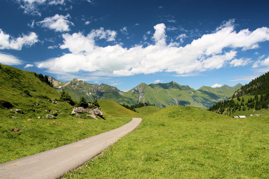 chemin dans les alpes suisses
