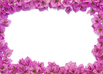 Pink flowers frame