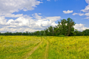 Rural road across steppe