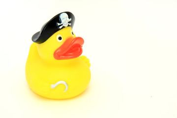 capitaine canard