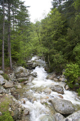 Wild mountain river