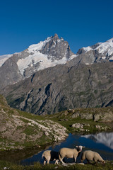 Lac Lérié