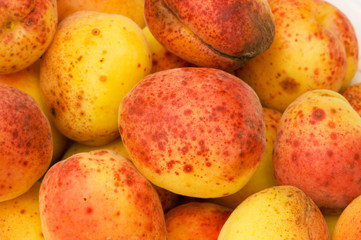 Many colourful red apricots at the backhround