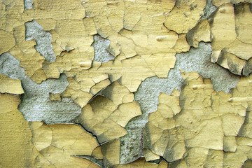 Fototapeta premium Grunge Texture