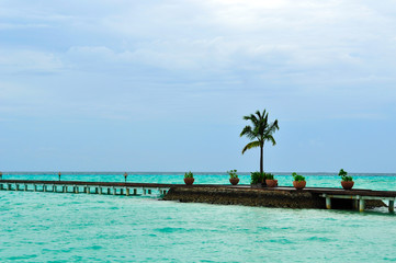 Fototapeta na wymiar Maldives, Welcome to Paradise!