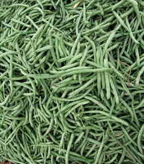 Detail of Organic Summer Green Beans at Farmers Market
