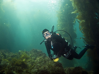 Diver looking into the camera in Catalina